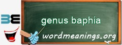 WordMeaning blackboard for genus baphia